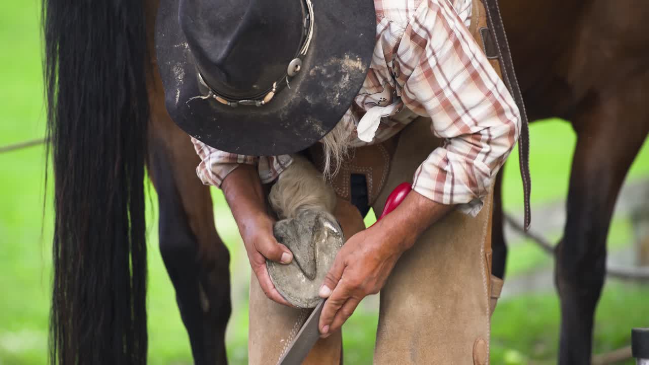 A caretaker filing his horse's shoe in New Zealand - close up