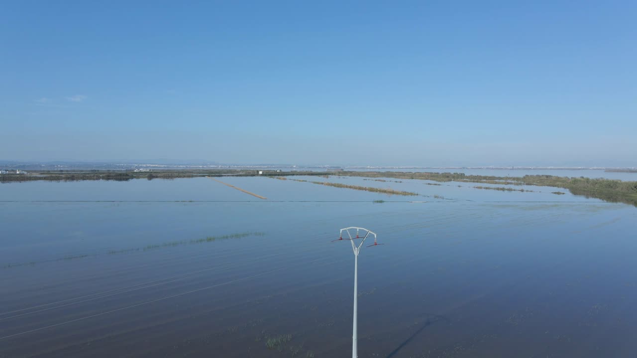 Flooded Rice Paddies