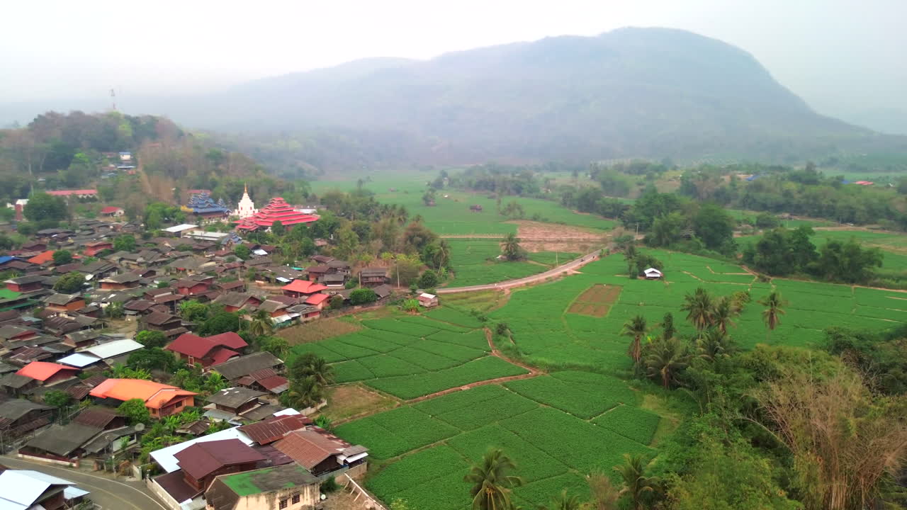 Expansive rice terraces line the green hills of rural Thailand captured from above