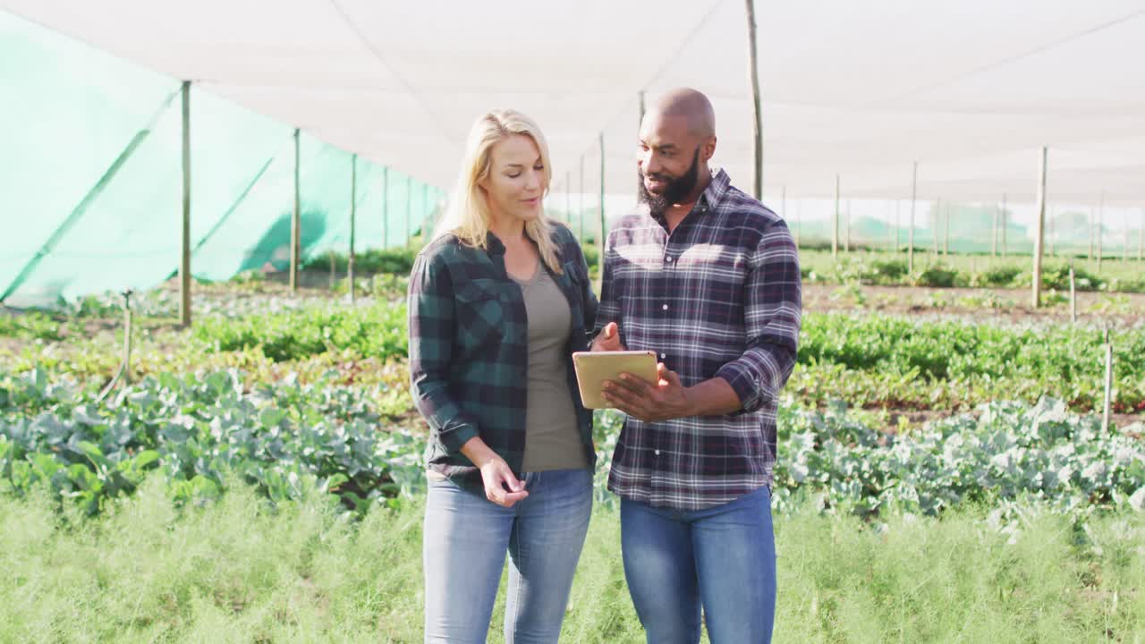 video de hembras y machos felices y diversos con tabletas en el invernadero en un día soleado