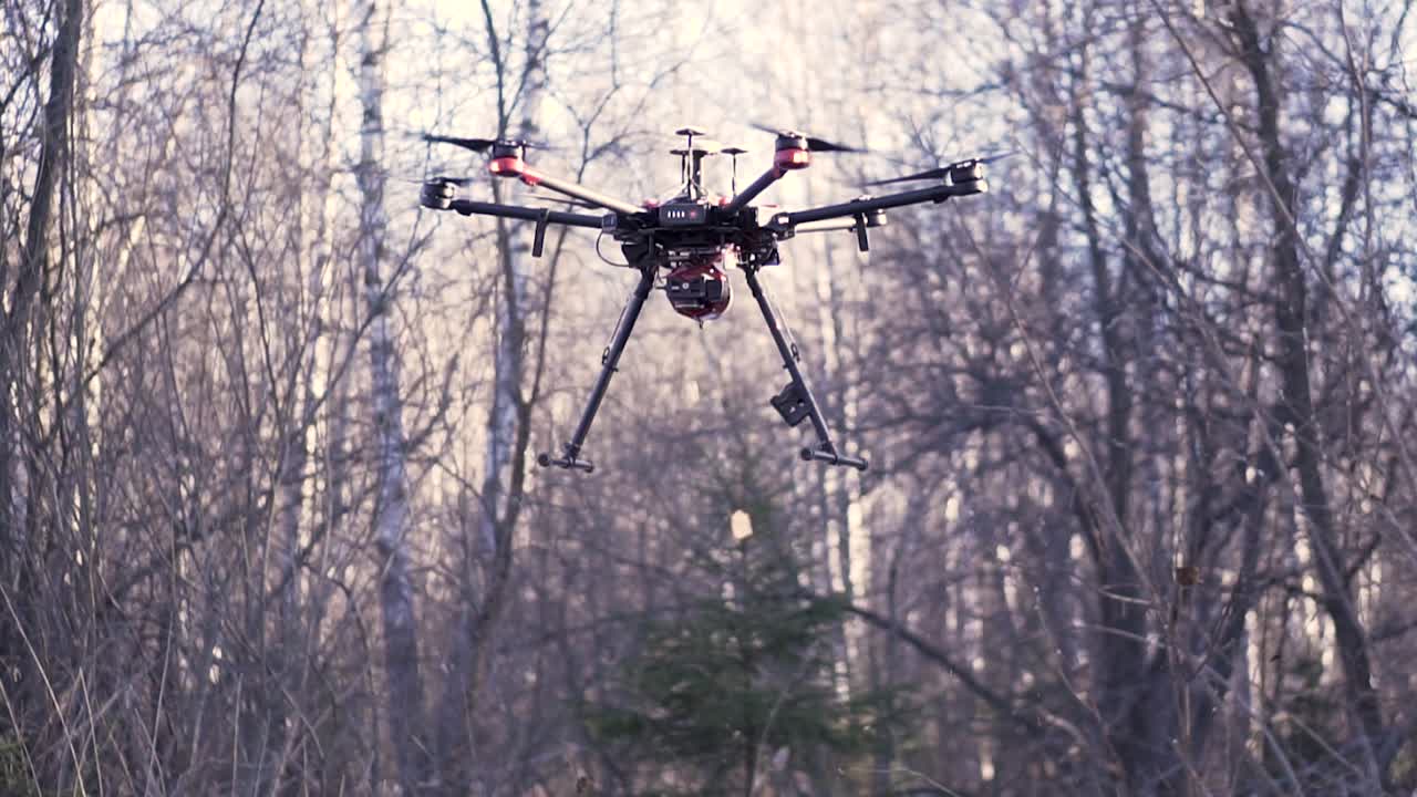 dron en el bosque de invierno
