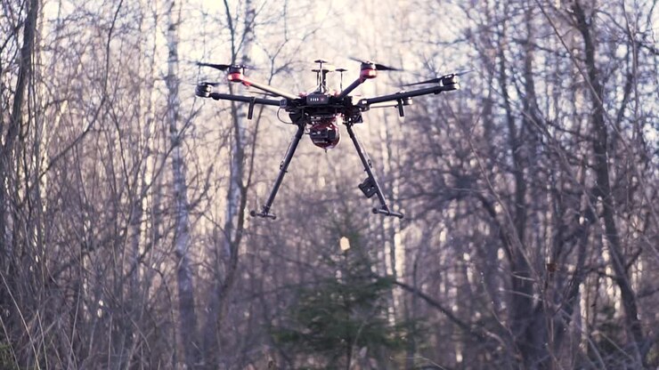 Drone em Floresta de Inverno
