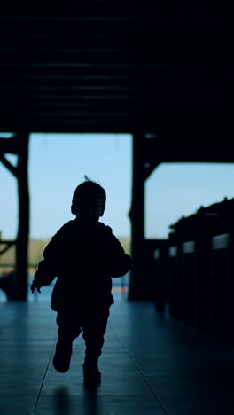 silhouette of a toddler running up to camera. little kid in the premise near the river. vertical video