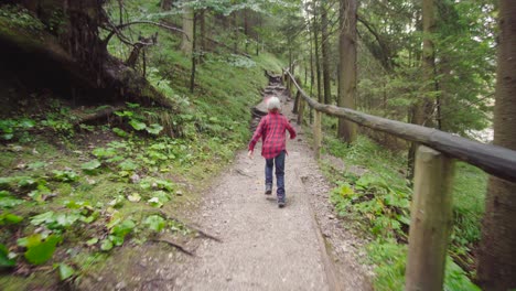 Tapferer-Junge,-Der-Entlang-Des-Bergweges-Wandert