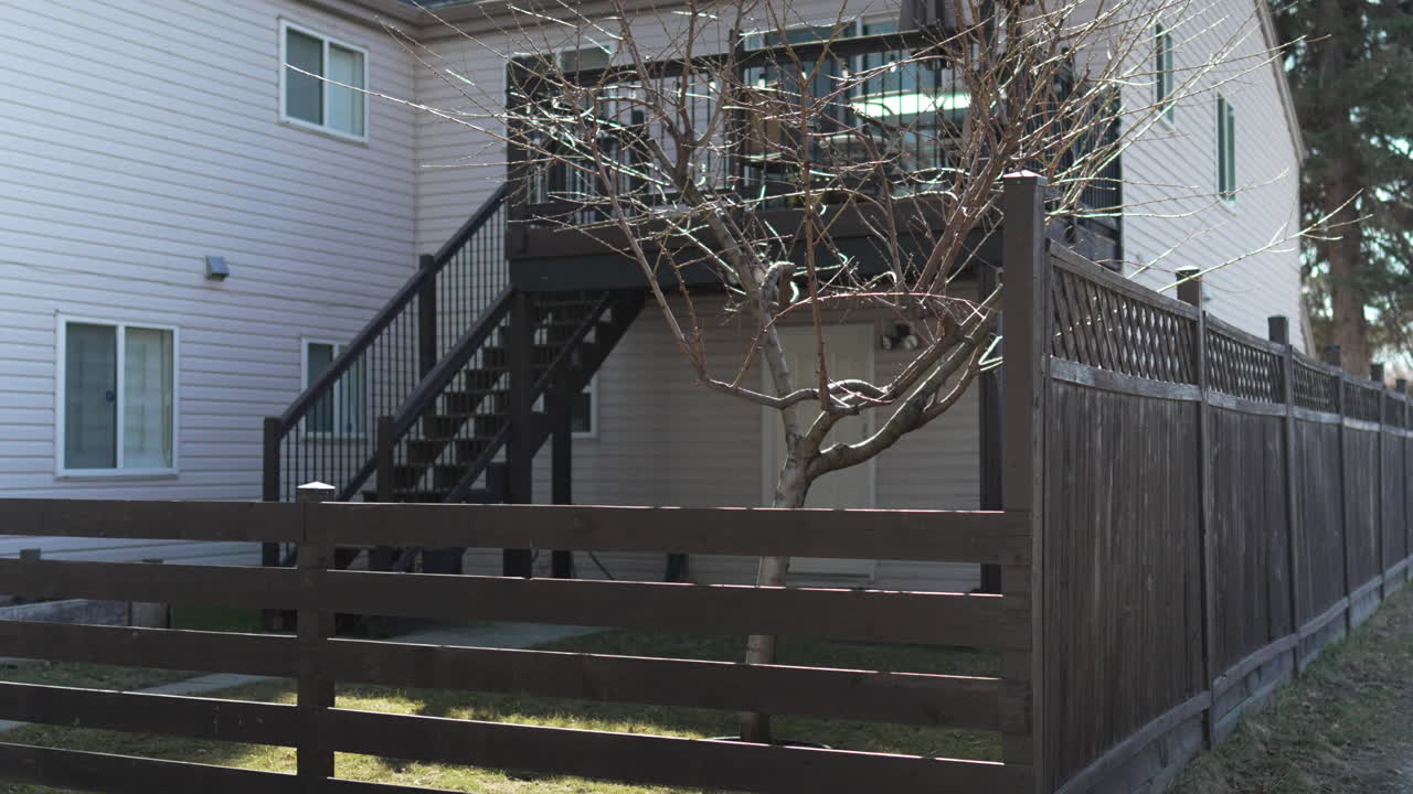árbol en ciernes del patio trasero detrás de una casa