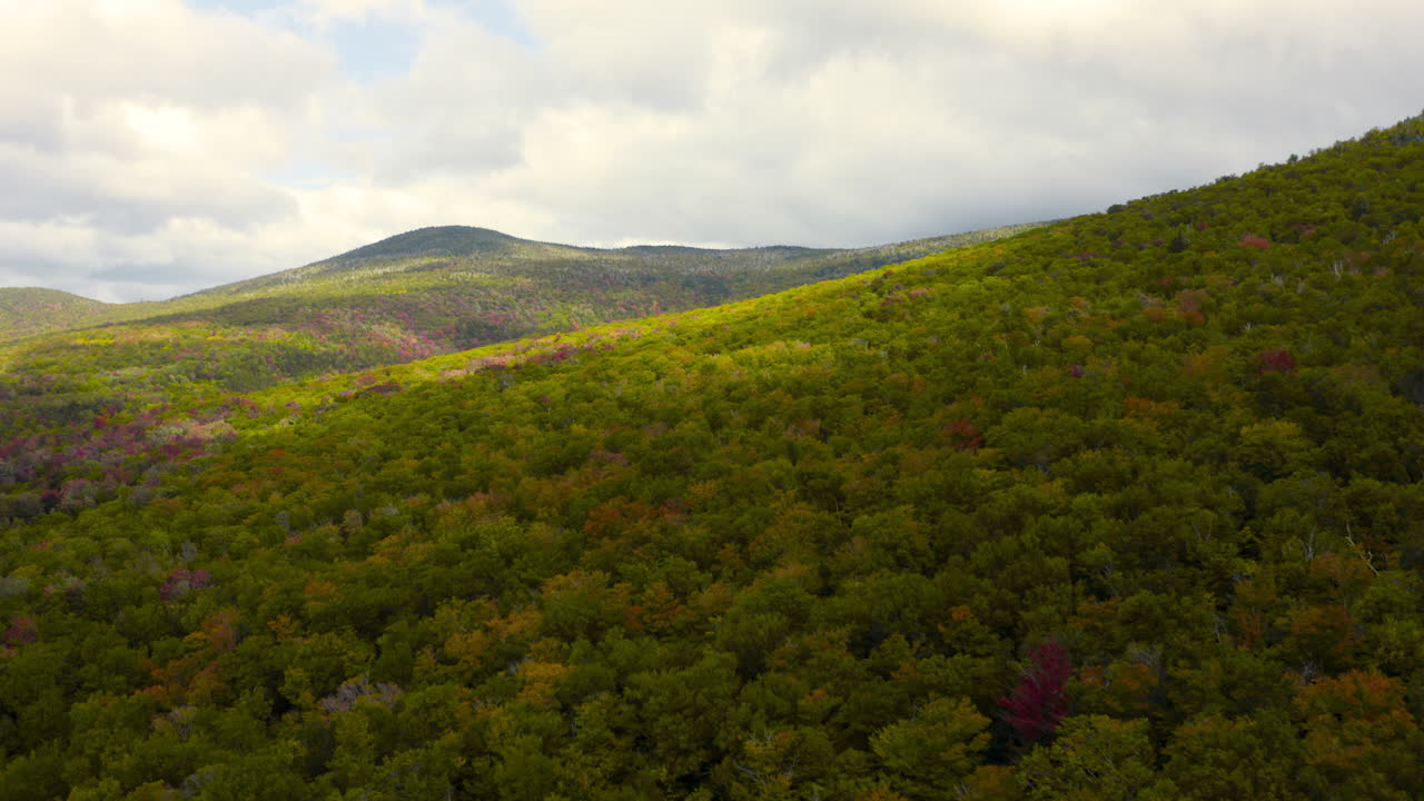 la hoja de la temporada de otoño cambia con coloridas hojas de otoño y arces en un dron aéreo de la cordillera 4k 30fps