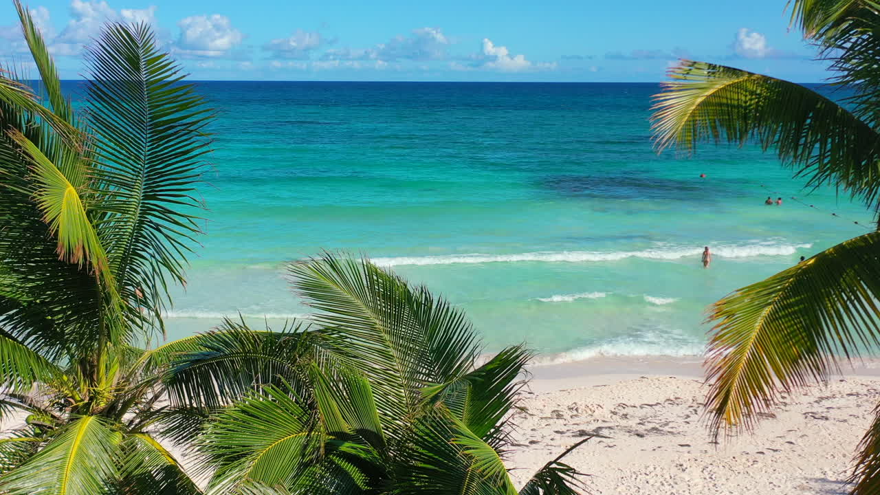 static tripod aerial between tropical coconut palm tree leaves waving in the wind on a sunny summer day at Xpu Ha Beach in Mexico with turquoise water and white sand beach