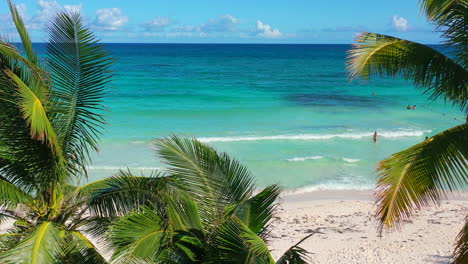 static tripod aerial between tropical coconut palm tree leaves waving in the wind on a sunny summer day at xpu ha beach in mexico with turquoise water and white sand beach