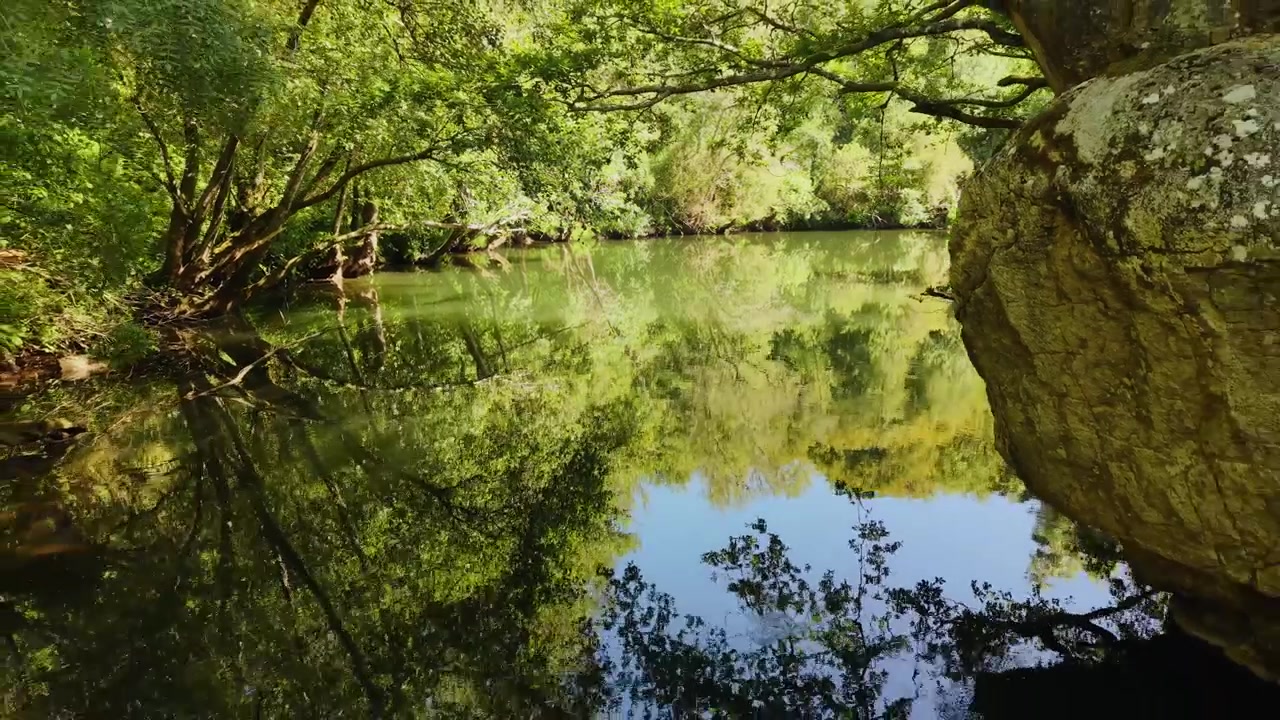 Árboles reflejados sobre las aguas del río Deza en Galicia, España. Toma aérea de retroceso.