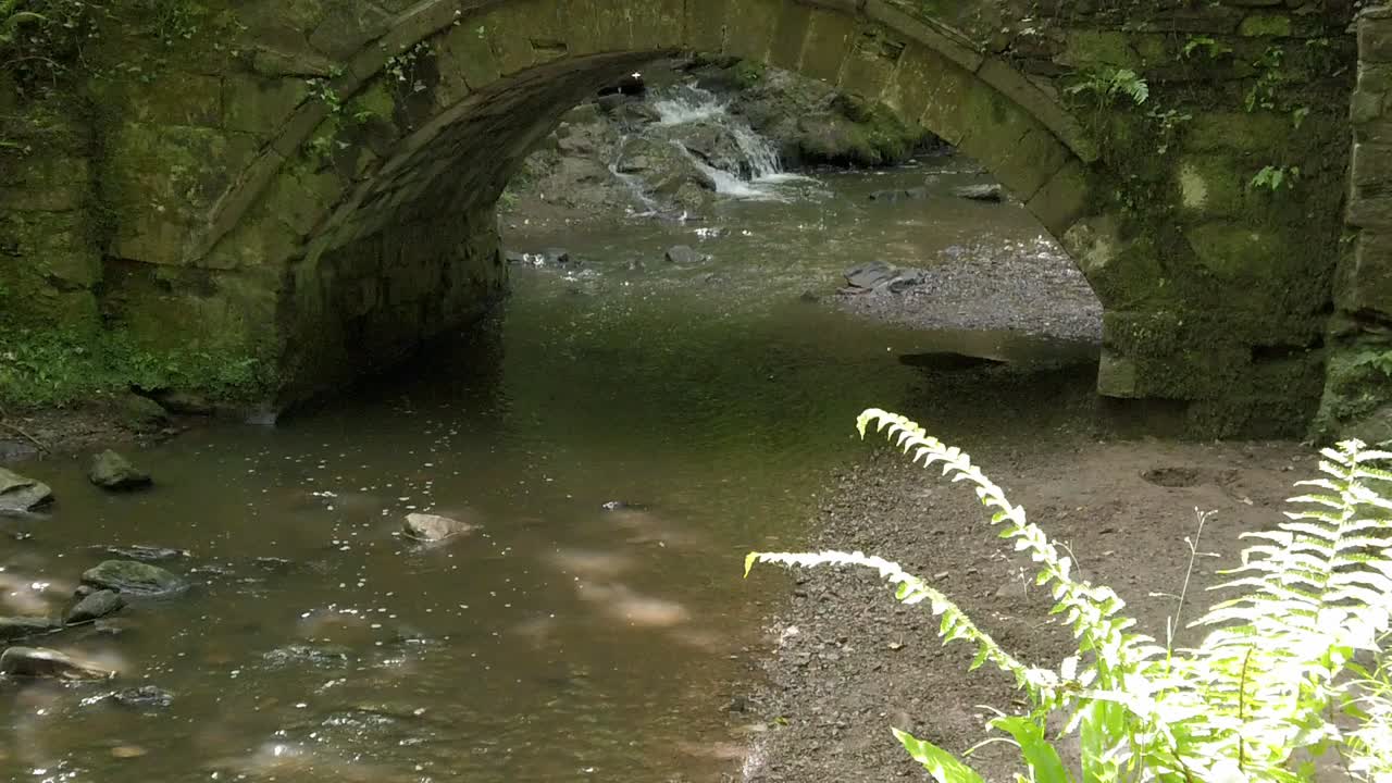 무성한 하이킹 삼림 지대를 가로지르는 평화로운 오래된 숲의 돌 다리