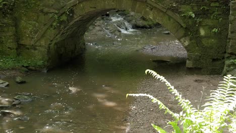 viejo y pacífico puente de piedra del bosque sobre exuberantes senderos arbolados que se inclinan hacia arriba