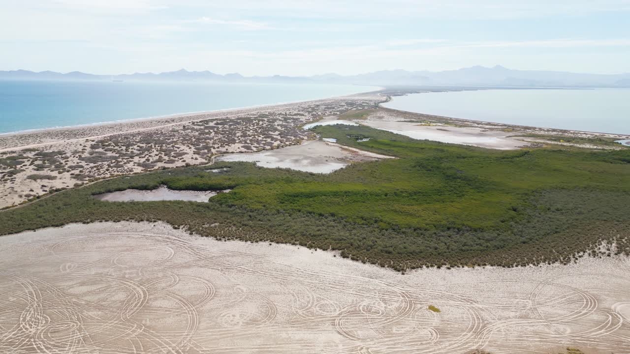 Coastal mangrove and desert dunes at El Mogote, La Paz, Baja California Sur, Mexico