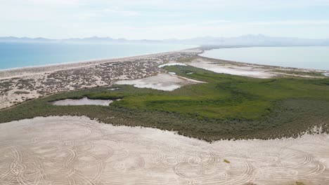 coastal mangrove and desert dunes at el mogote, la paz, baja california sur, mexico
