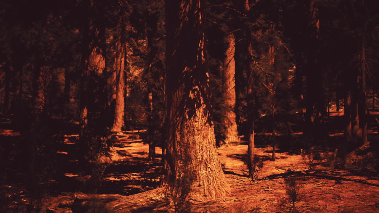 el bosque rojo oscuro y misterioso