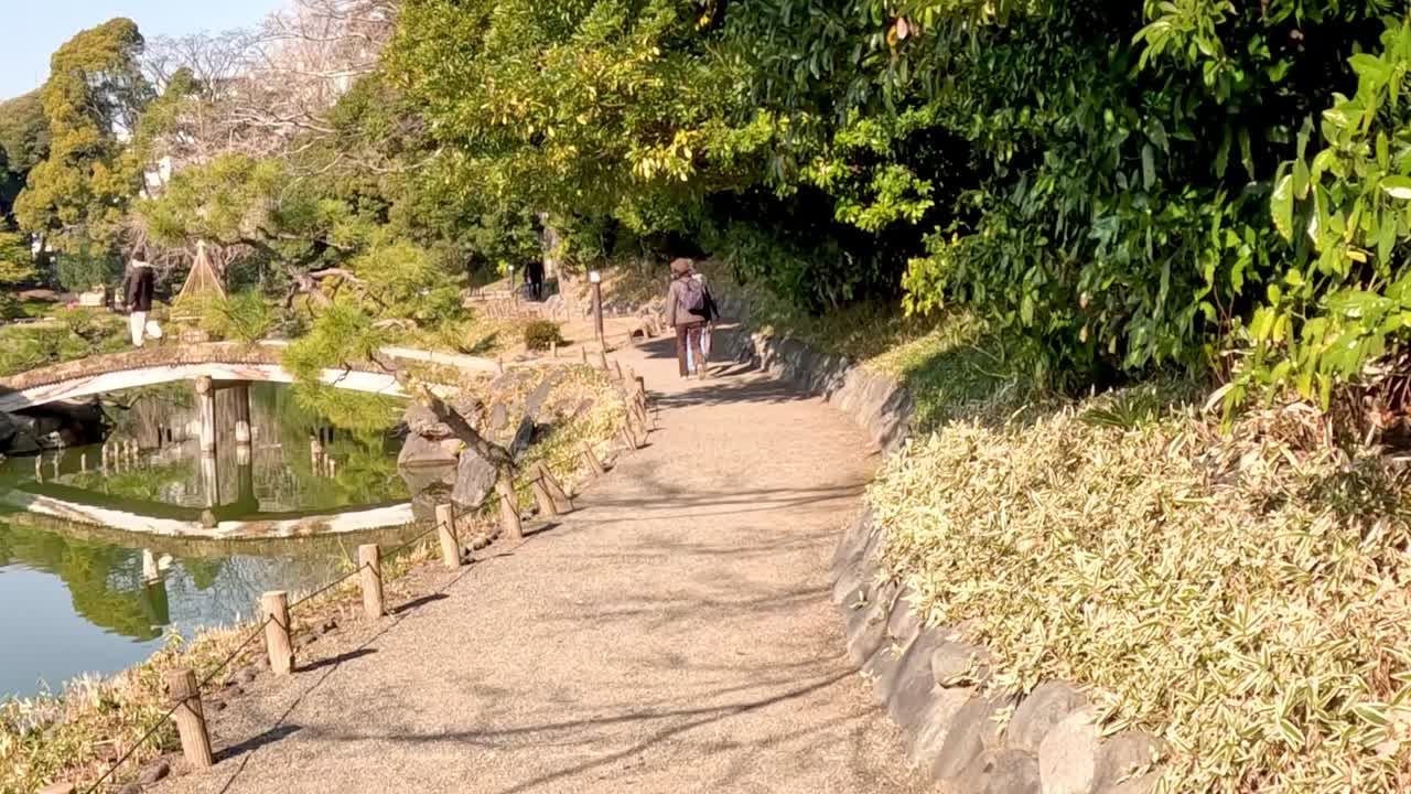 조용 한 공원 연못 을 둘러싼 평화로운 산책