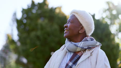 parque, anciano y feliz mujer negra en la naturaleza