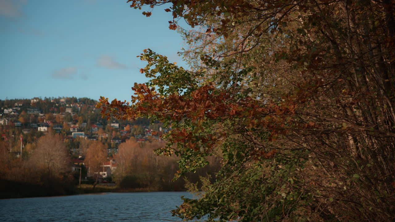 Wide shot of leaves swaying with the wind with the lake on a sunny October day
