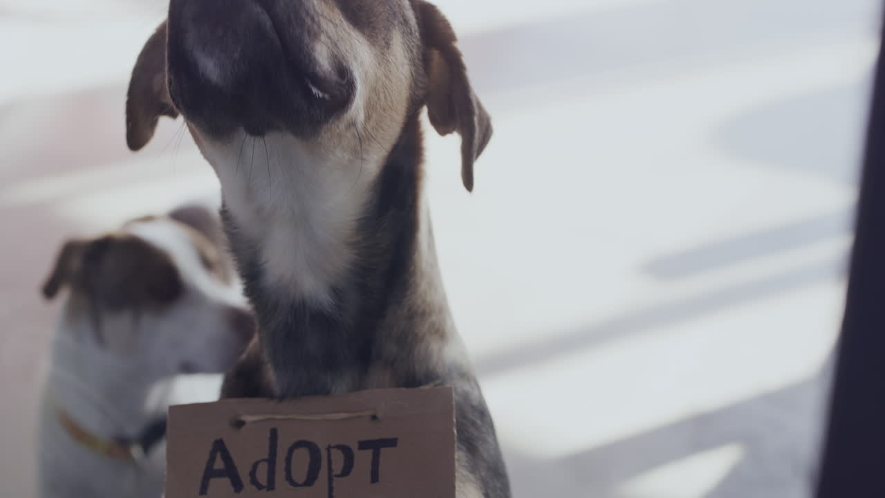 같이 집에 갈 수 있나요?