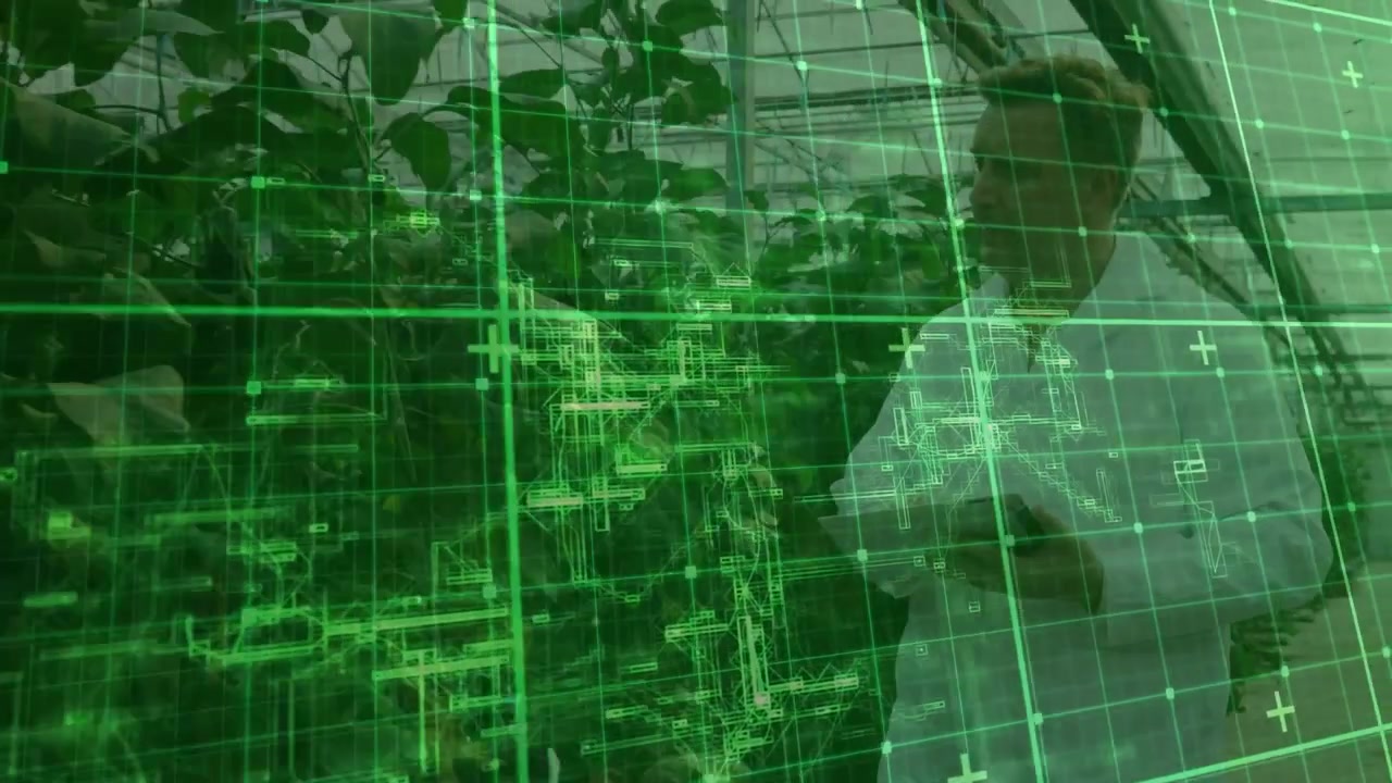 Agricultural scientist lifting scanner toward pulsing grid overlay, highlighting foliage health