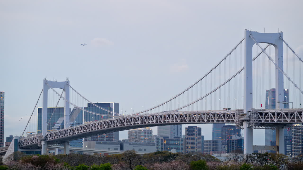 View of the Rainbow Bridge and the skyline of Tokyo, Japan on a cloudy day