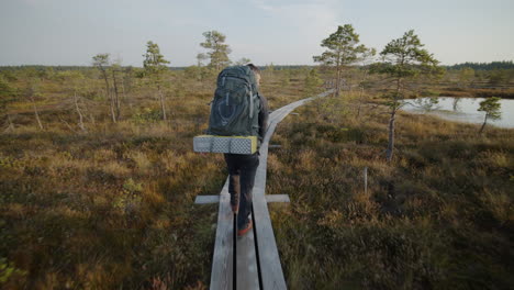 moving shot of man with backpack going down the pathway in the swamp, gesturing and talking.