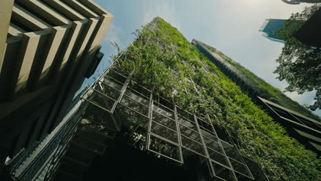 modern building with green wall