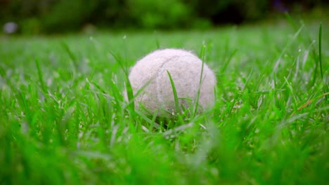 Tennisball-Auf-Gras.-Nahaufnahme-Eines-Hundespielzeugs-Auf-Grünem-Rasen.-Weißer-Tennisball