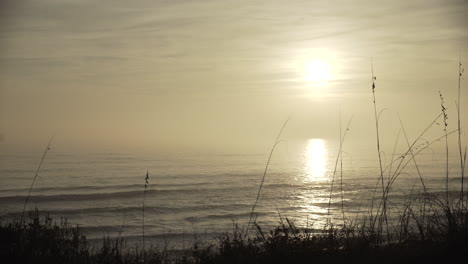 peaceful serene ocean waves at sunset with tall grass in foreground