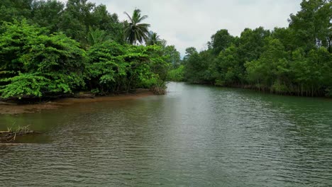 Flying-close-to-the-water-at-the-river-Caue-surrounded-by-forest,São-Tomé,Africa