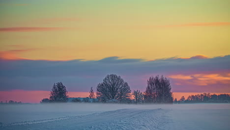 Lapso-De-Tiempo-En-El-País-De-Las-Maravillas-Invernal-Temprano-En-La-Mañana-árbol-De-Nieve-Congelado-En-El-Paisaje-Rural-De-Letonia