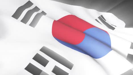 south korean flag