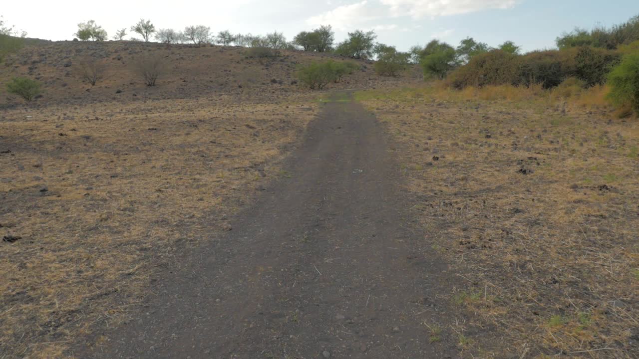 pov 자연의 통로를 통한 여행 및 하이킹