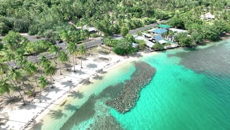 white sand shore and palm-fringed beach of ta'ahiamanu in moorea-maiao, french polynesia