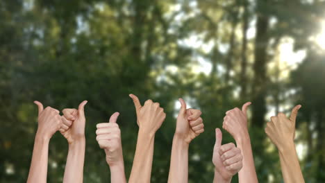 Many-thumbs-up-against-forest-scene