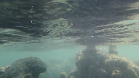 pescador parado en el coral hasta las espinillas en el océano para recoger su pesca diaria con un alambre y un anzuelo