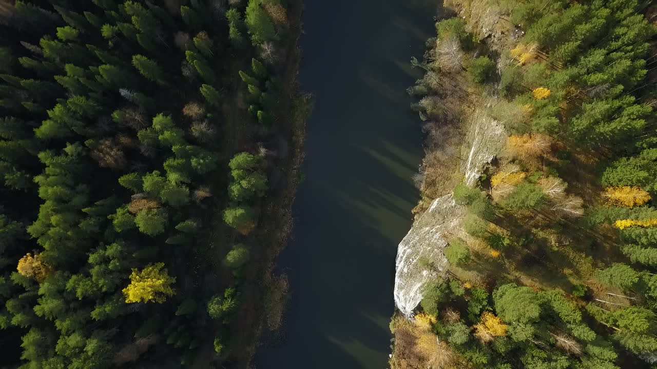 río de otoño y bosque vista aérea
