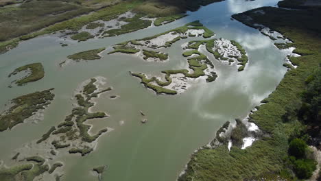 antena de arriba hacia abajo del humedal pantanoso inundado con islas verdes durante el día soleado - tiro inclinado hacia abajo