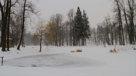 Snow-is-falling-during-winter-in-a-city-park