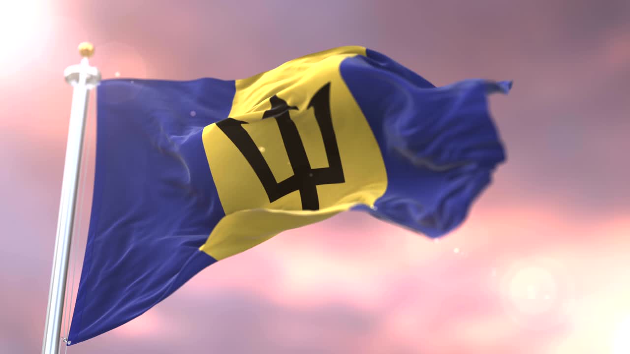 바르바도스 발이 해가 지면 바람에 흔들리고, 루프