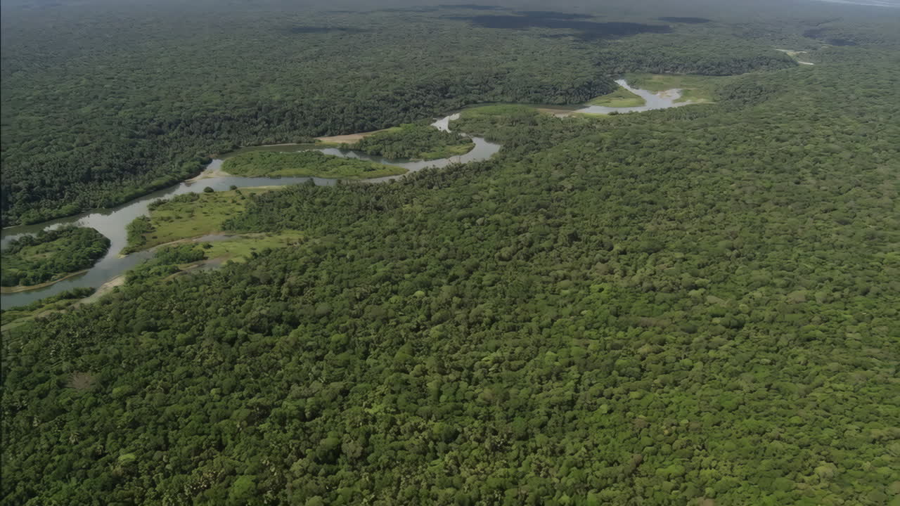 Aerial View of a River Flowing Through a Lush Forest