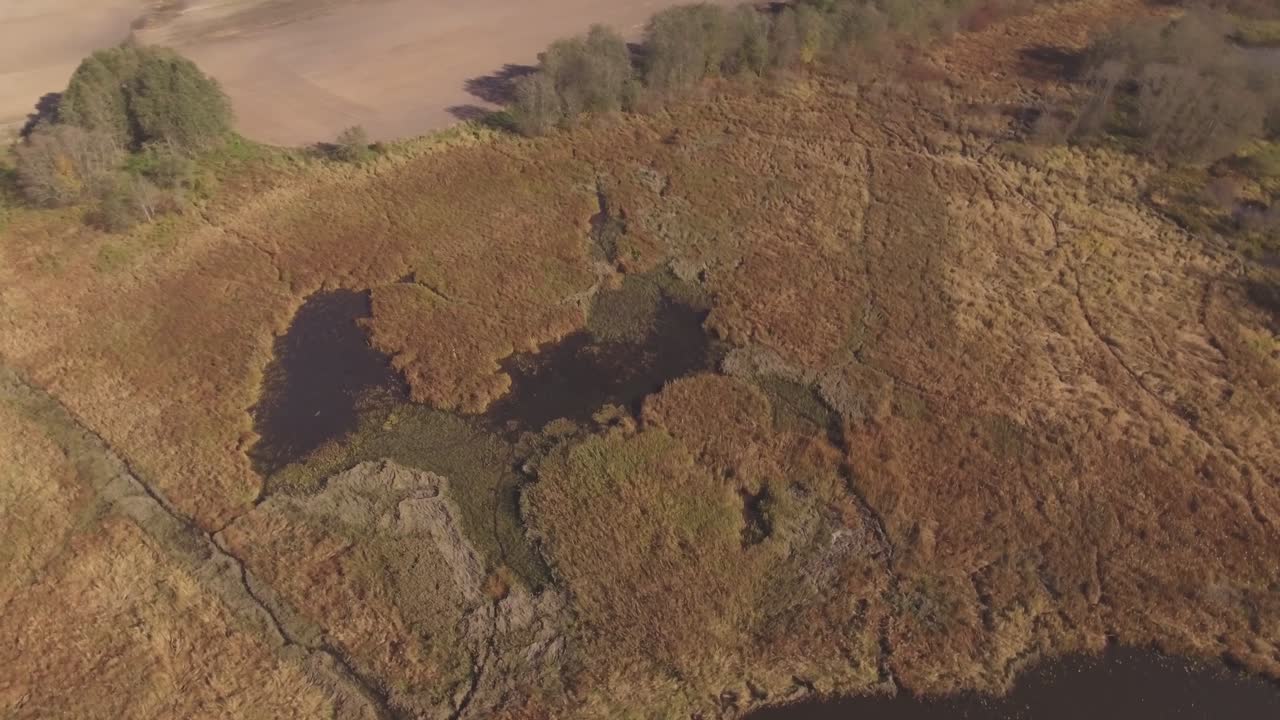 la orilla del río cubierta de juncos en un soleado día de otoño-1