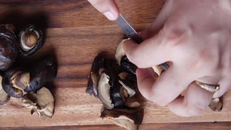 el corte de los hongos shiitake