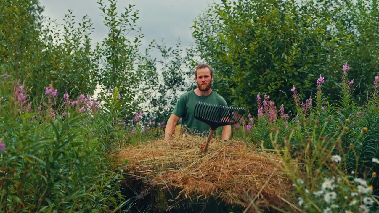 En mand skubber en trillebør fyldt med hø gennem en frodig, grøn mark omgivet af høje planter og vilde blomster – Halvnært billede.