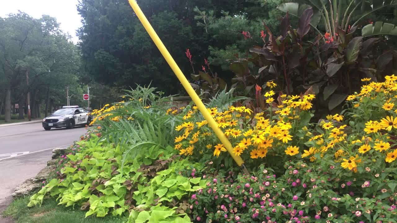 Police car at High Park entrance behind flowerbed