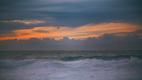 el paisaje marítimo de la noche de verano ondeando en el hermoso cielo nublado. el pájaro volando sobre el mar.