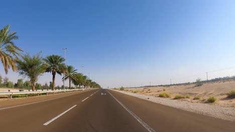 daytime car pov hyperlapse of scenic desert palm-tree road in abu dhabi