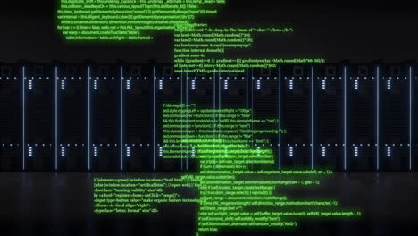 Animation-of-digital-data-processing-over-computer-servers