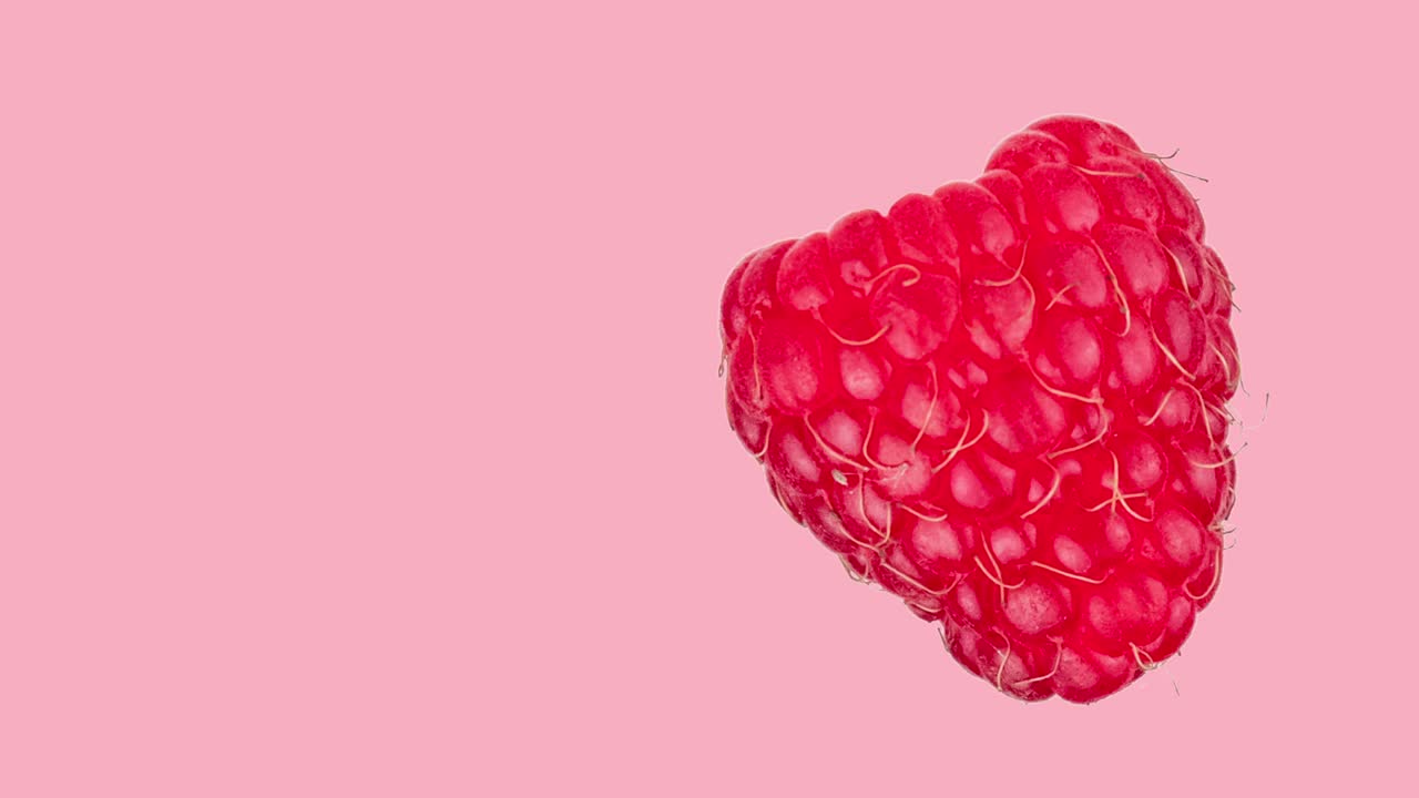 frambuesa madura fresca animada en un fondo rosado primer plano. bucle sin costuras de comida 3d realista. diseño de movimiento de parada mínimo arte ingenio espacio de copia