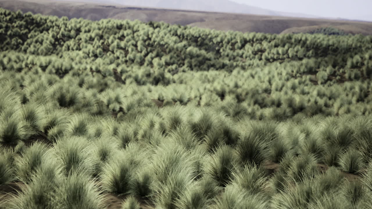 Lush green landscape with dense grass and rolling hills under bright sky