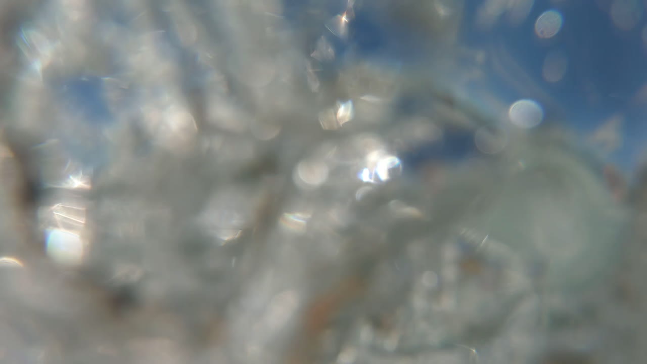 We're having the time of our lives here!